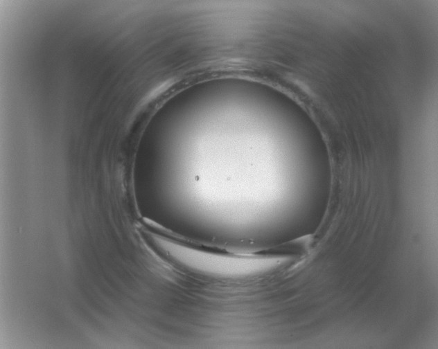 X0000063501402200602101847