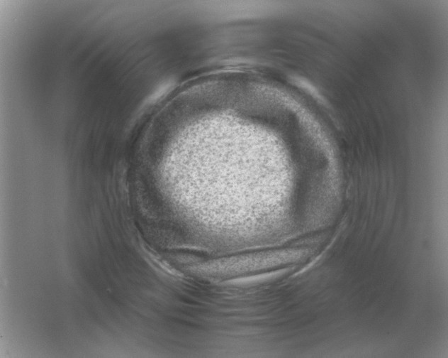 X0000063501403200602101847