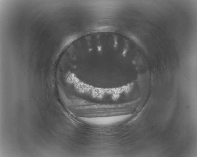 X0000063501405200602101847