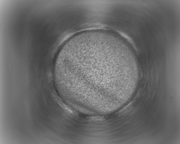 X0000063501407200602101847