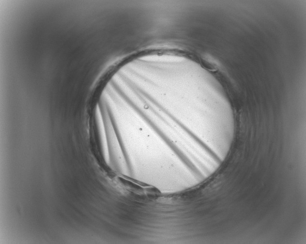 X0000063501408200602101847