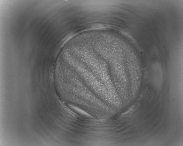 X0000063501409200602101847