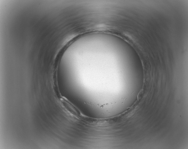 X0000063501410200602101847