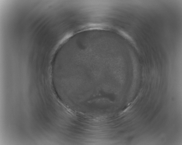 X0000063501411200602101847