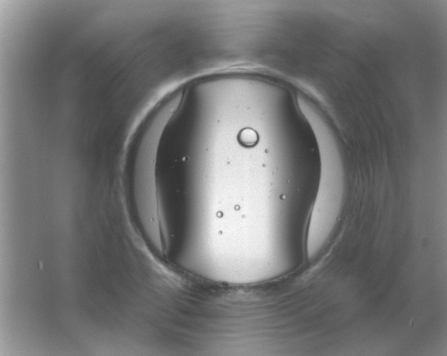 X0000063501414200602101847