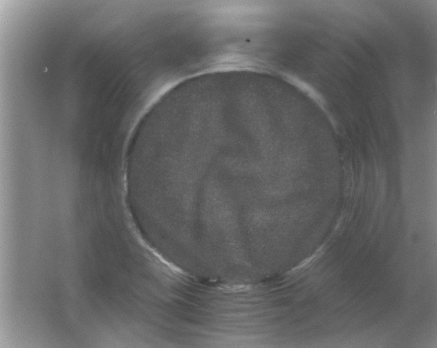 X0000063501415200602101847