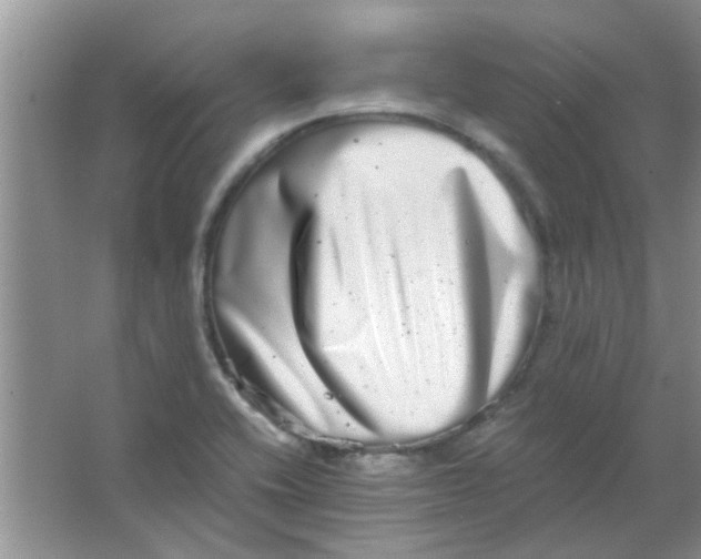 X0000063501416200602101847