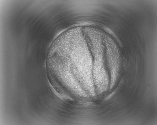 X0000063501417200602101847