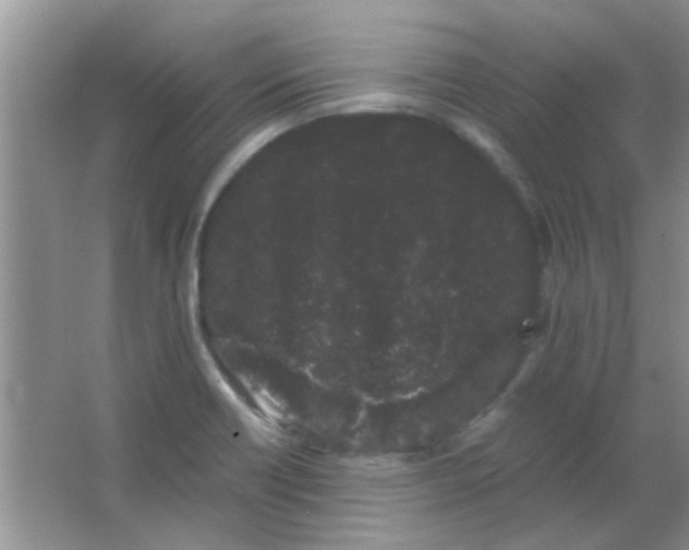 X0000063501418200602101847