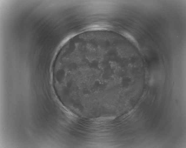 X0000063501419200602101847