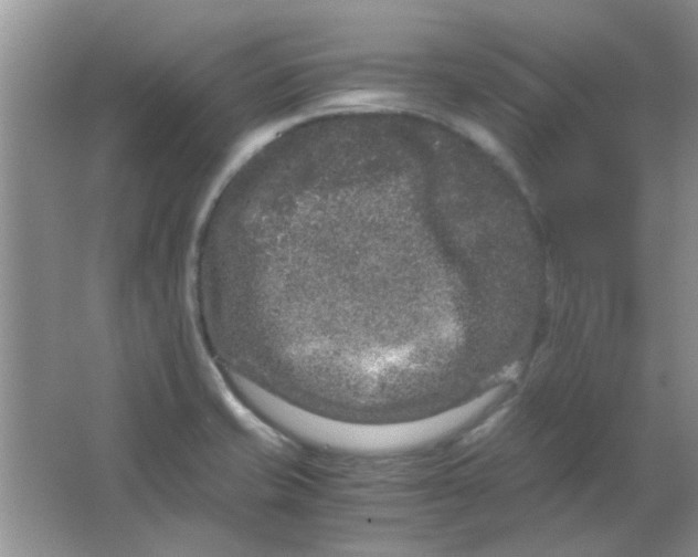 X0000063501421200602101847