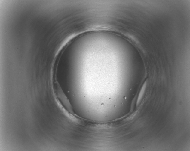 X0000063501422200602101847