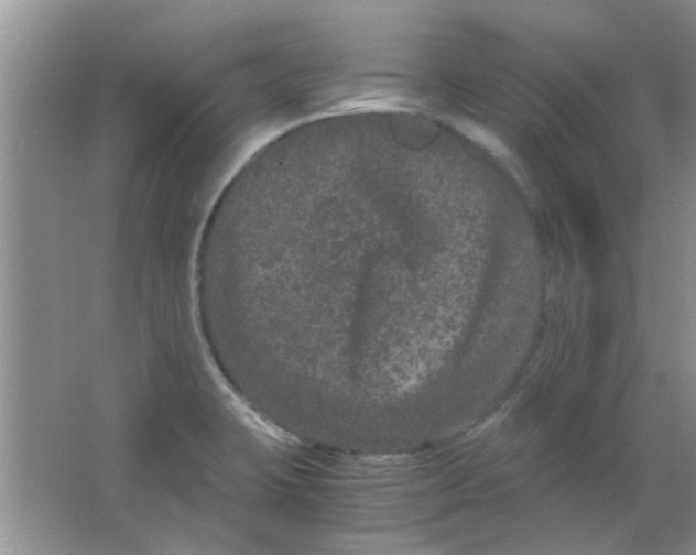 X0000063501423200602101847