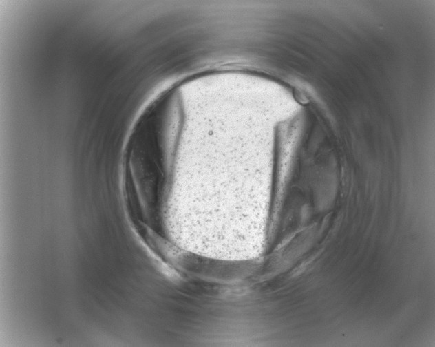 X0000063501424200602101847