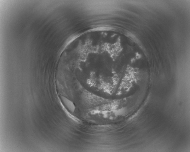 X0000063501425200602101847