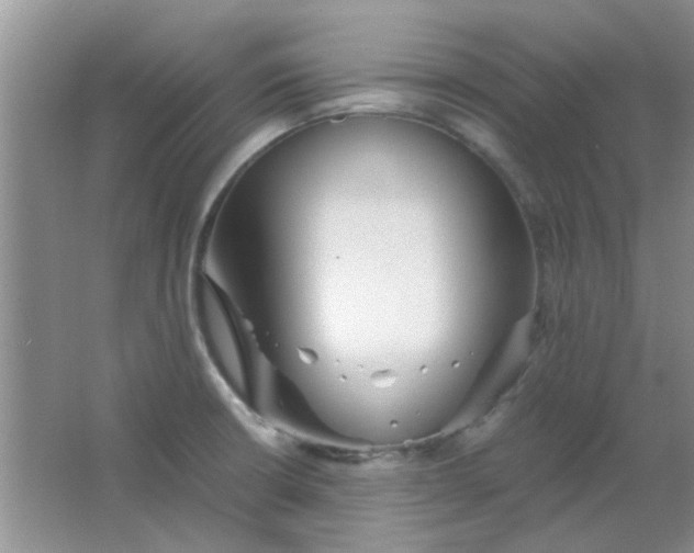 X0000063501426200602101847