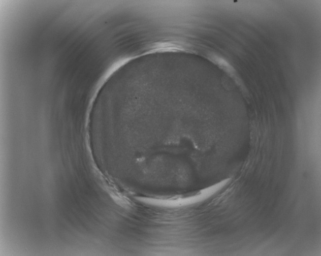 X0000063501427200602101847