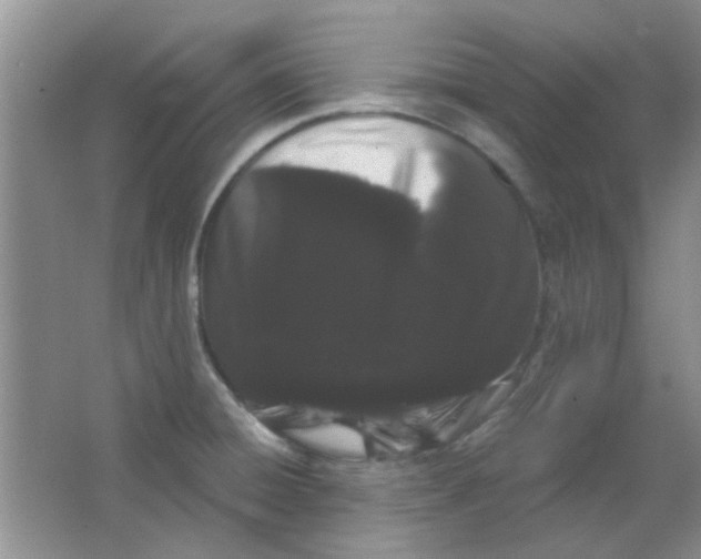 X0000063501428200602101847