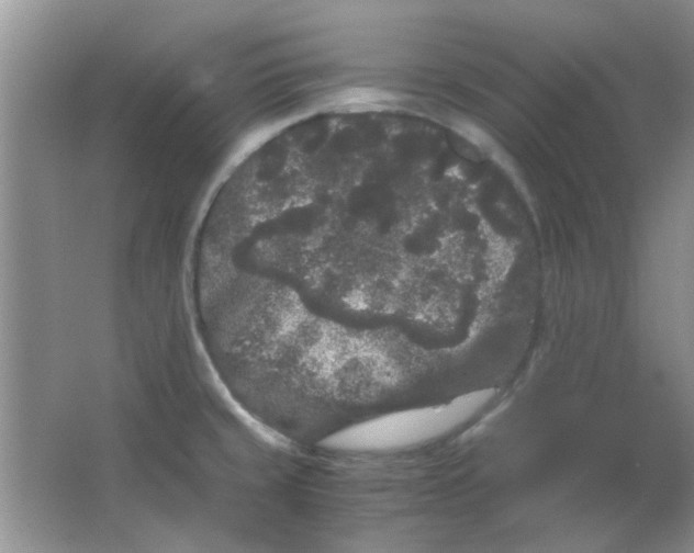 X0000063501429200602101847