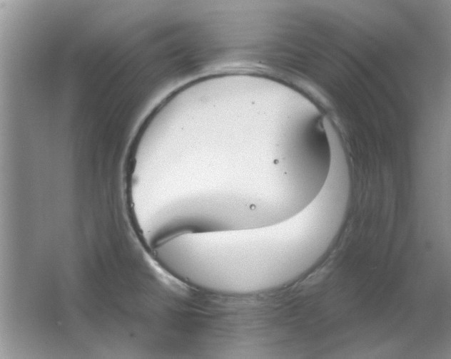 X0000063501430200602101847