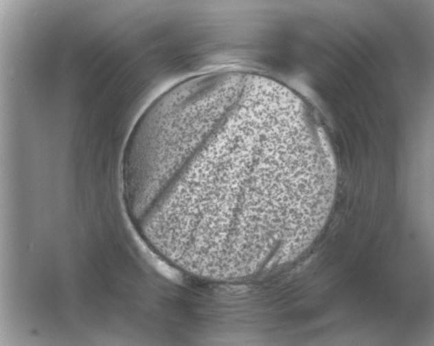 X0000063501431200602101847