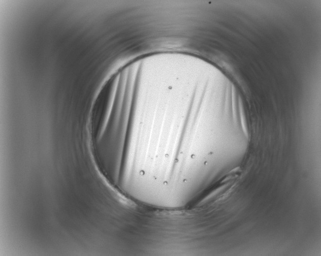 X0000063501432200602101848