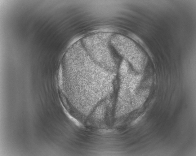 X0000063501433200602101848