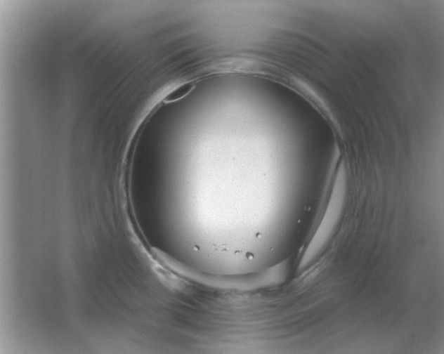 X0000063501434200602101848