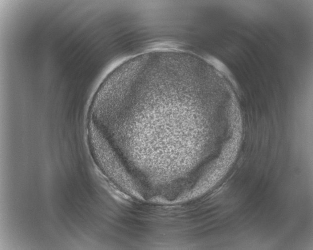 X0000063501435200602101848