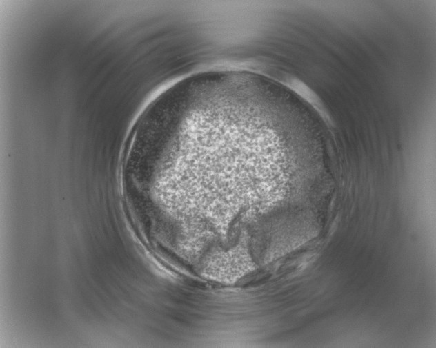 X0000063501436200602101848