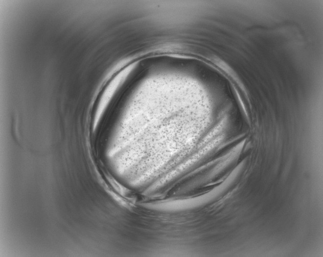 X0000063501437200602101848