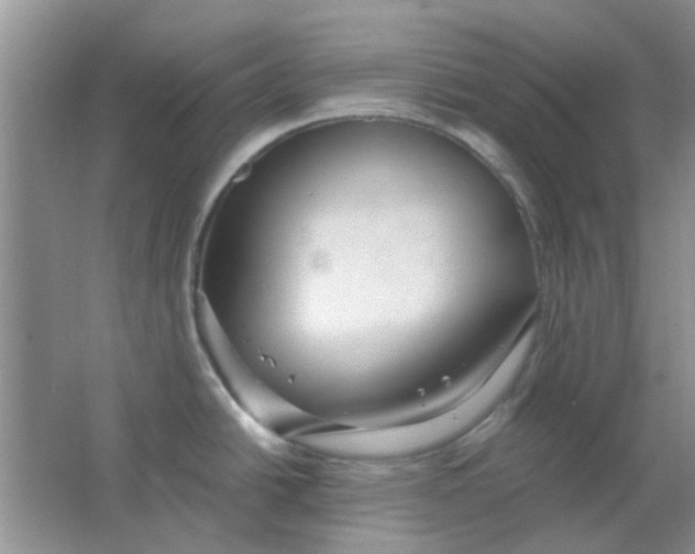 X0000063501438200602101848