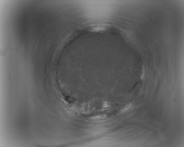 X0000063501441200602101847