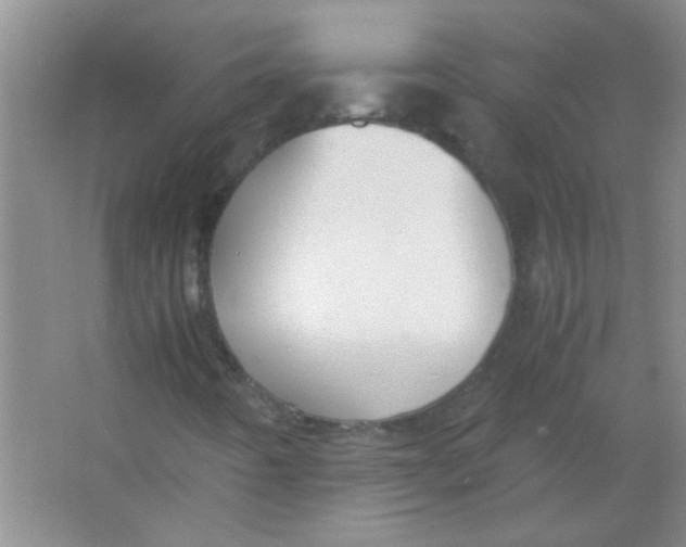 X0000063501442200602101847