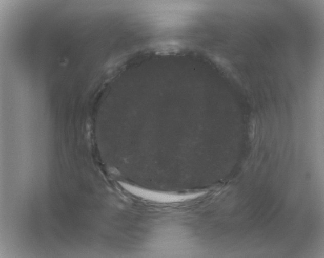 X0000063501445200602101847