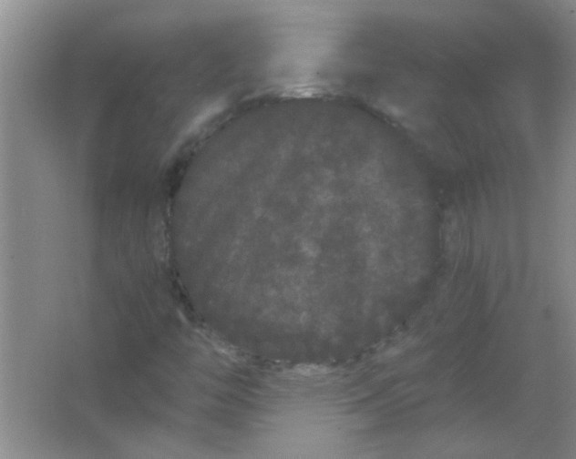 X0000063501446200602101847