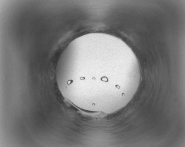 X0000063501447200602101847