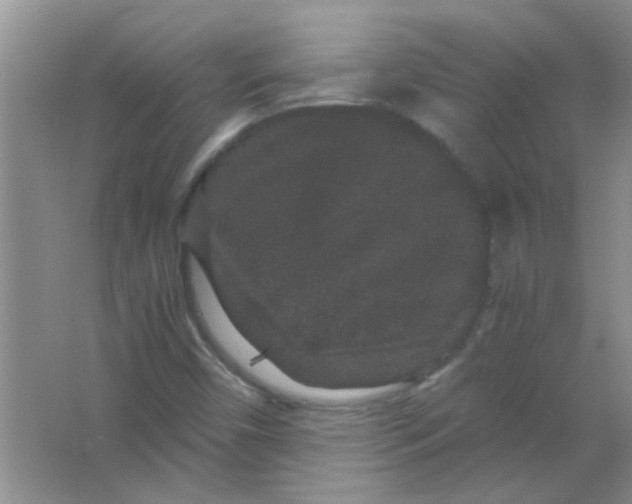 X0000063501450200602101847