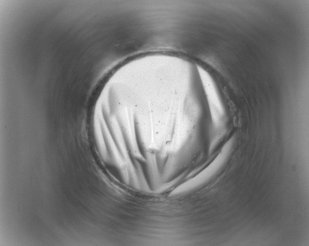 X0000063501452200602101847