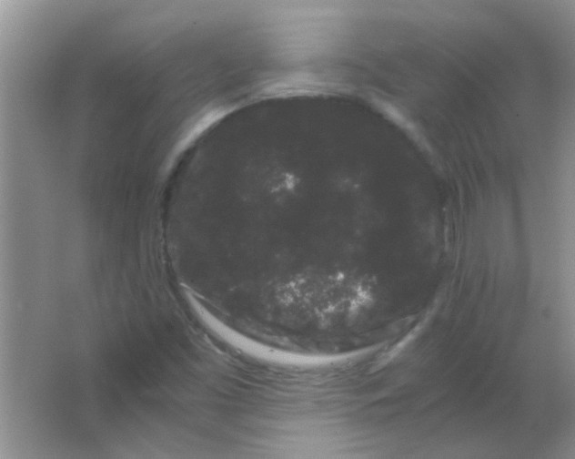 X0000063501453200602101847