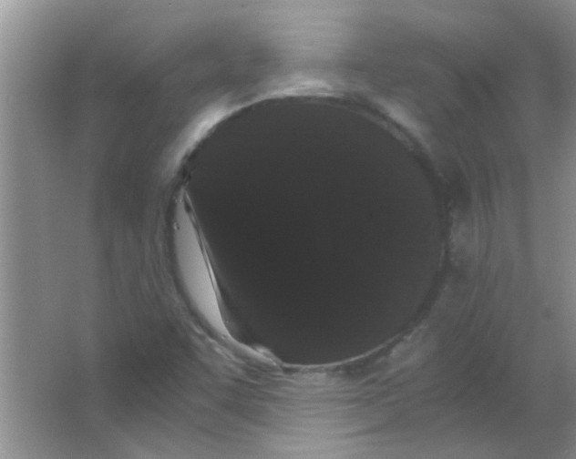 X0000063501455200602101847