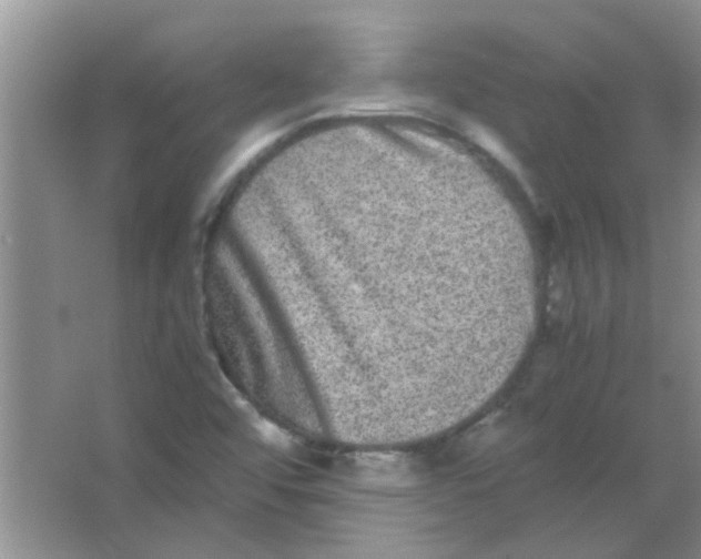 X0000063501456200602101847