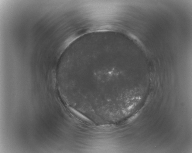 X0000063501457200602101847