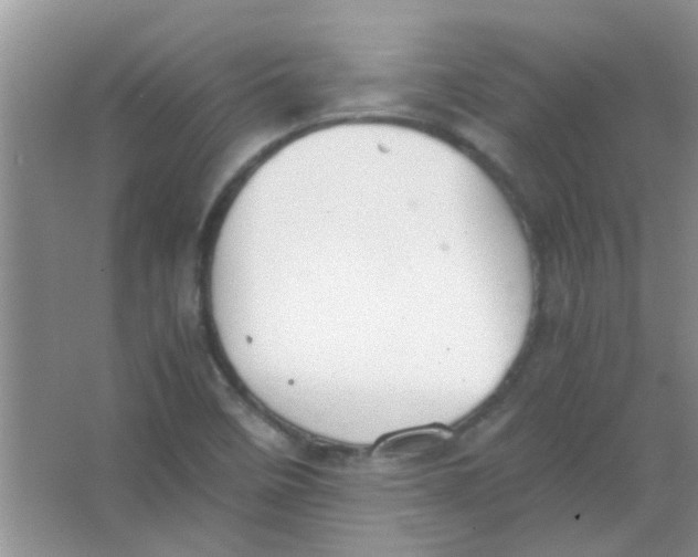 X0000063501458200602101847