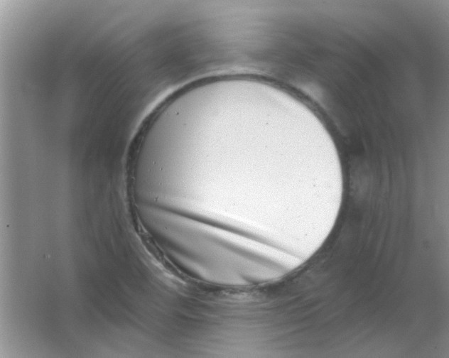 X0000063501460200602101847