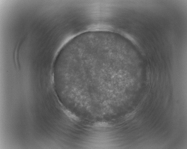 X0000063501462200602101846