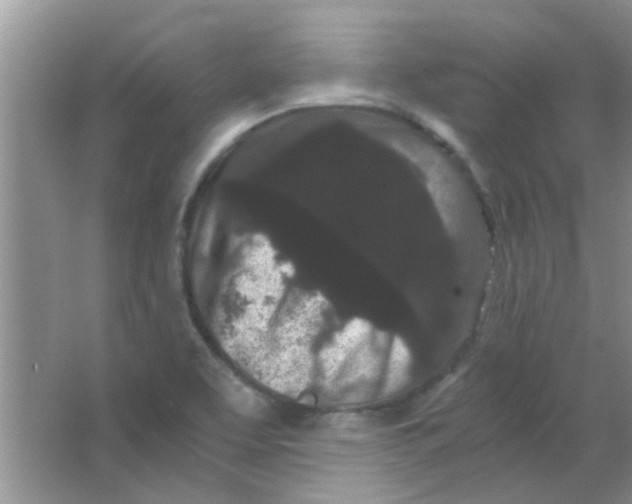 X0000063501463200602101846