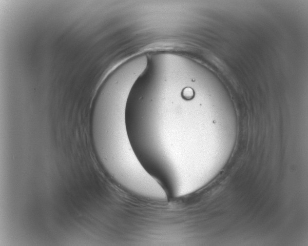 X0000063501465200602101846