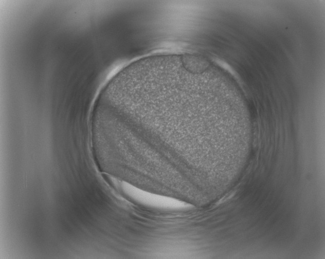 X0000063501467200602101846