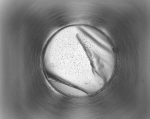 X0000063501468200602101846